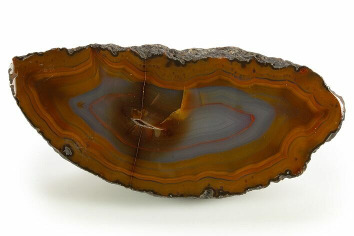 Colorful Polished Agate Nodule Half - South America #323836